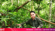 Hà Tĩnh nhận hơn 159 tỷ đồng từ nguồn chi trả giảm phát thải khí nhà kính