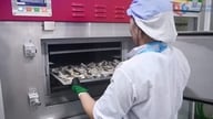Protecția mărcii ajută produsele OCOP să ajungă mai departe.
