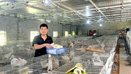 Từ mất phương hướng sau khi về nước đến ông chủ trang trại quy mô lớn