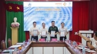 Провинциальный совет по управлению инвестиционными проектами в сфере гражданского строительства подписал контракт на развитие цифровой инфраструктуры.
