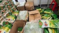 V zemědělském obchodě v Hai Phongu bylo nalezeno 116 pytlů podezřelé padělané rýže ST25.