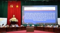 Wie reagierte Ninh Binh auf schwere Stürme, darunter den Supertaifun Trami? Welche Szenarien wurden in Betracht gezogen?
