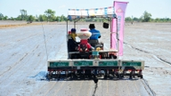 បច្ចេកទេស «ពីរ» ជួយកសិករបង្កើនប្រាក់ចំណេញ និងកាត់បន្ថយការបំភាយឧស្ម័ន។