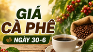 ราคาเมล็ดกาแฟ ณ วันที่ 30 มิถุนายน: ตลาดโลกปรับตัวสูงขึ้นอย่างมาก