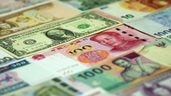 La mattina del 30 giugno, la Banca di Stato del Vietnam ha fissato il tasso di cambio centrale a 25.206 VND.