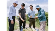 Dywersyfikacja upraw w Vinh Dieu