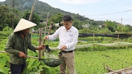 Bac Quang possui diversos modelos de desenvolvimento econômico.