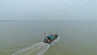 รีวิวหาดไฮบิ่ญ: สวยงามและเงียบสงบ มีอาหารทะเลสดใหม่และอร่อยให้เลือกมากมายจนจุใจ