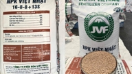Die Lösung für das Problem der ausgewogenen Ernährung und Kostenoptimierung.