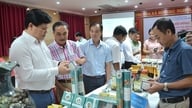 کوانگ نگای قصد دارد تا سال 2026، 60 محصول جدید OCOP تولید کند.