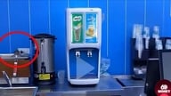 Șobolani găsiți în zona de procesare a alimentelor a unui magazin alimentar: un semnal de alarmă privind siguranța și igiena alimentară.
