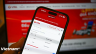 Dua kode/nomor telekomunikasi akan dilelang dengan harga penawaran awal 250 juta VND.