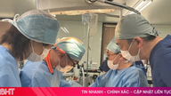 Japan planlægger at teste nyretransplantationer fra svin på mennesker.