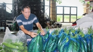 Eine neu gegründete Gemeinde in der Provinz Phu Tho (ehemals Teil der Provinz Vinh Phuc) erlebt einen deutlichen Anstieg des Wohlstands ihrer Bewohner, mit einem erheblichen Anstieg der Haushaltseinnahmen auf über 700 Milliarden VND.