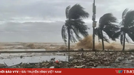 Quang Ninh ve An Giang illeri, tropikal depresyona dönüşme potansiyeli taşıyan alçak basınç alanına karşı proaktif bir şekilde önlem alıyor.