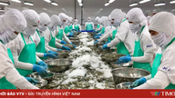 Eksporten af ​​fisk og skaldyr steg og nåede næsten 5,8 milliarder dollars i første halvdel af året.