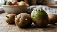 תפוחי אדמה שנובטים או הופכים לירוקים: איזה מהם רעיל יותר?