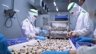 International tourists are shifting their focus, ordering clams in small batches.