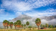 Touching the cloud season on Mount Cam