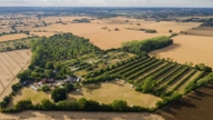 En banbrytande agroforestry-gård i Storbritannien.