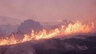 Incêndios florestais estão devastando o oeste dos Estados Unidos.
