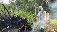 Satu wabak selesema burung A/H5N1 telah berlaku di wilayah Tuyen Quang.