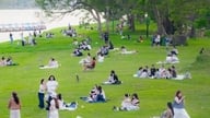 Spații verzi de-a lungul râului Parfumuri: Locul perfect pentru picnicuri și evadarea din căldură.