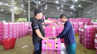 ภาคเกษตรกรรมและสิ่งแวดล้อมของจังหวัดลำดงมีอัตราการเติบโตเกินเป้าหมายที่ตั้งไว้