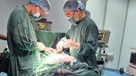 Deși burta ei a crescut treptat, femeia nu a solicitat asistență medicală și s-a descoperit că avea o tumoare ovariană masivă.