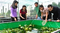 Proactively prevent 'loan sharking' at the grassroots level.