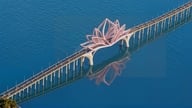 ¿Cómo aumentará el valor de Can Gio cuando se construya un puente marítimo que la conecte con Vung Tau?