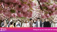 일본은 비자 수수료를 5배 인상했지만 여권 수수료는 인하했다.