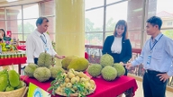 100% din fructele delicioase de la o cooperativă din Dong Thap (fosta provincie Tien Giang) au o etichetă de trasabilitate, un jurnal electronic de bord și un cod QR.