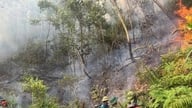 La provincia di Nghe An ha emesso una direttiva che impone l'attuazione rigorosa di misure urgenti per la prevenzione e il controllo degli incendi boschivi.
