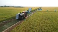 Dando vida à agricultura digital, baseada no conhecimento e impulsionada pela tecnologia: Aproveitando as vantagens e maximizando o potencial existente (Parte final)