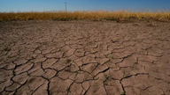 La Nouvelle-Zélande confirme un fort épisode El Niño : pourquoi l'Asie doit-elle être particulièrement vigilante ?