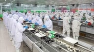 Las exportaciones de productos agrícolas, forestales y acuáticos aumentaron un 6% en los primeros seis meses del año.