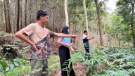 Un tip de copac care se răspândește cu cât este plantat mai mult îi ajută pe fermierii dintr-un sat din provincia Lang Son să facă bani sub coronamentul pădurii.