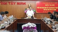 타이닌: 정부령 제153/2026/ND-CP호 시행