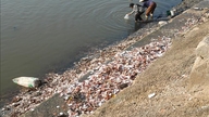 การแก้ไขปัญหามลพิษบริเวณท่าจอดเรือในทะเลสาบลาคแวน