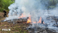 Quang Tri: Fire under the forest canopy in Kim Dien commune brought under control in a timely manner.