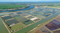 Protéger les zones d'aquaculture pendant les périodes de fortes chaleurs.