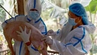 Filipinele se îndreaptă spre comercializarea vaccinului împotriva PPA.
