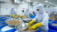 Udvikling af Halal gennem partnerskab