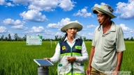 Îndrumarea cultivatorilor de orez pentru reducerea emisiilor