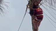 কোয়াং নিন: অবতরণের সময় এক বিরল ঘটনা, যেখানে এক মা ও শিশু একটি নারকেল গাছে আটকা পড়েন।