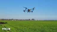 La FAO organise sa première conférence mondiale sur l'agriculture intelligente.