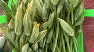 The flower that many people pick and throw away is actually a summer "specialty," being both crispy and sweet and easy to prepare into many delicious dishes.
