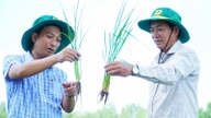A história de agricultores que 'despertam' o solo ácido.