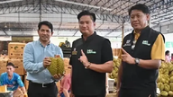 A Kínába irányuló thai durian export rekordot döntött; mi a titok?